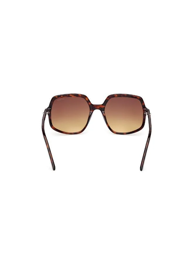 جس Oversize sunglasses